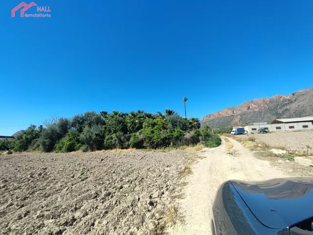 PARCELA RUSTICA EN EL SISCAR — 10