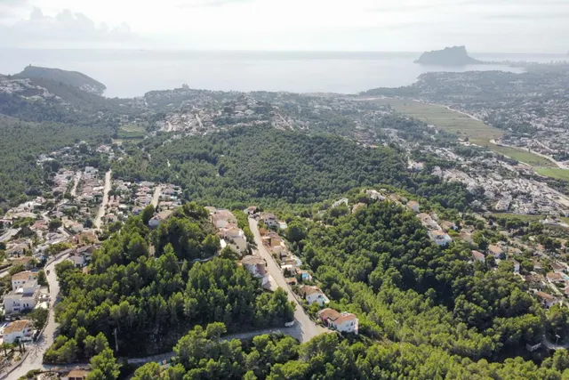 Parcela en venta - Verde pino — 11
