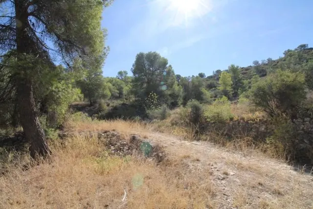 IMPRESIONANTE FINCA DE 30 HECTÁREAS CON TERRENO CULTIVABLE Y VISTAS PANORÁMICAS A VILLENA — 35