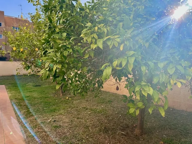 Apartamento 3 habitaciones 87m² en venta - Costa Del Sol — 10
