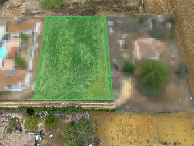 Parcela rústica de 2.000 m2 en Pago de Humo, Chiclana: tu terreno en el campo — 5