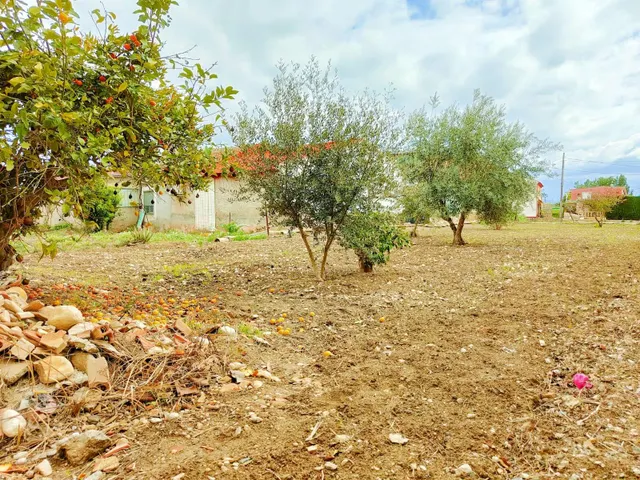 ++Adosada en Alguazas++, 400 m — 13