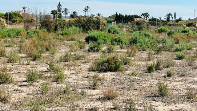 Terreno de 12.000 m2 en Perleta. — 13
