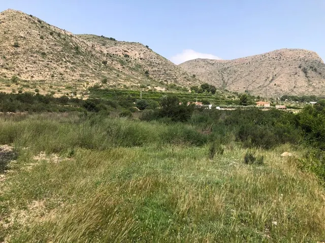 TERRENO EN ASPE — 7