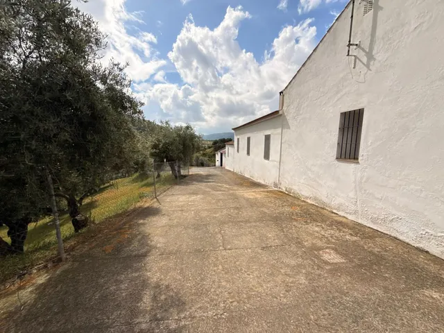 Finca rústica de 26 ha con 3.000 olivos ecológicos, cortijos - foto 3