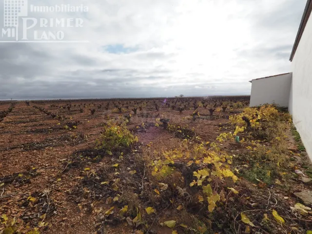 Se vende 13,3 hectareas de viña airen TODO DECLARADO DE AGUA - foto 5