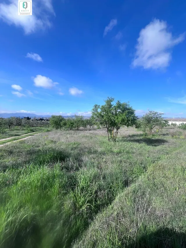TERRENO RUSTICO EN PADUL — 11