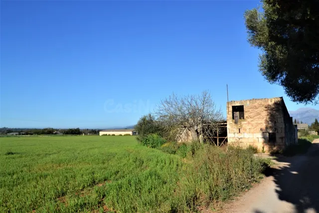 Finca con proyecto aprobado en Llubi - foto 2