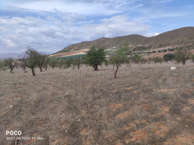 TERRENO AGRICOLA DE REGADÍO EN AGUADERAS, LORCA - foto 3