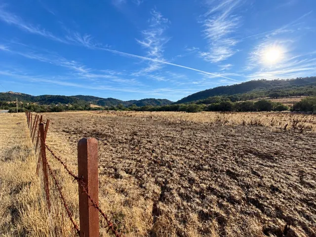 Finca rústica de 2,6 hectáreas en Alcalá de los Gazules – Amplio terreno con múltiples posibilidades. — 10