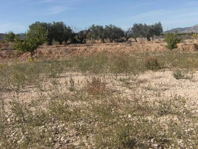 CASA DE CAMPO NUEVA - foto 5