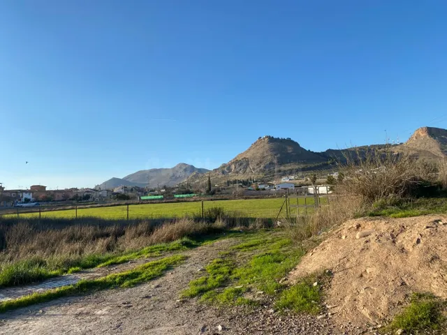 VENTA DE TERRENO RUSTICO URBANIZABLE DEL TERMINO MUNICIPAL D - foto 4