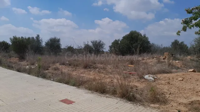 PARCELA INDUSTRIAL A LA VENTA EN PLA DE CARRASES - foto 5