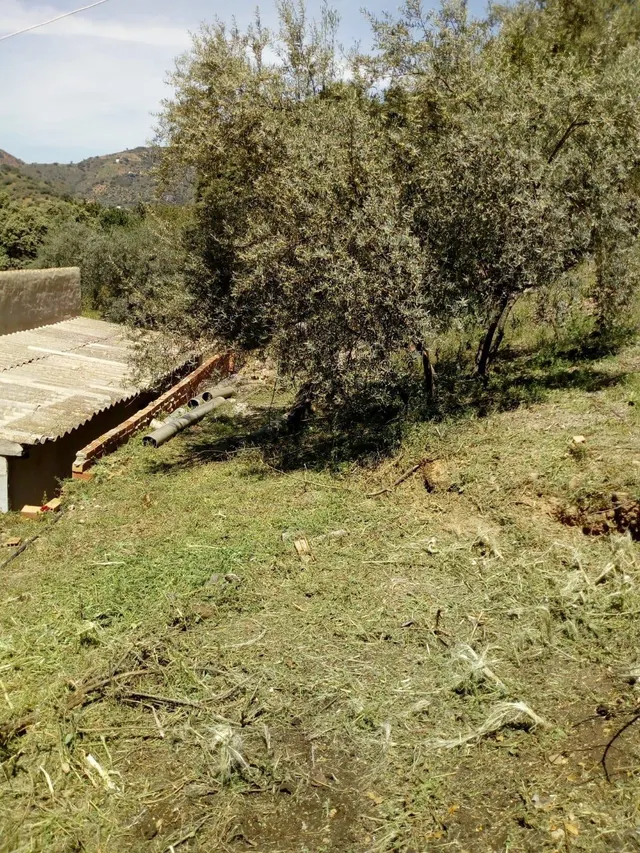 Finca rústica a la venta en Comares — 13
