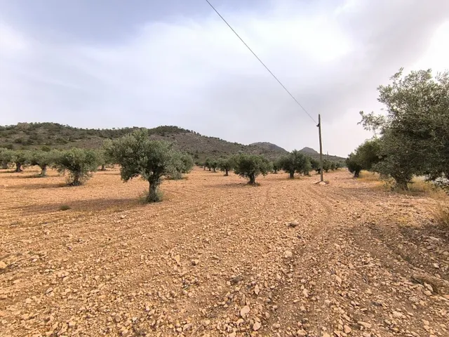 Parcela en venta - Ayuntamiento — 9