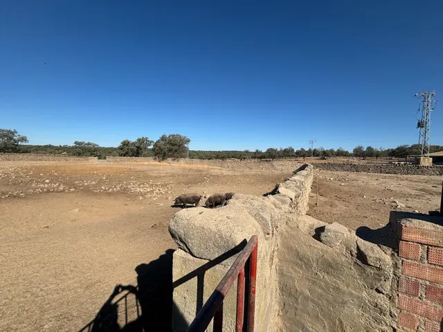 ¡Venta de Finca Agrícola y Ganadera! - foto 4