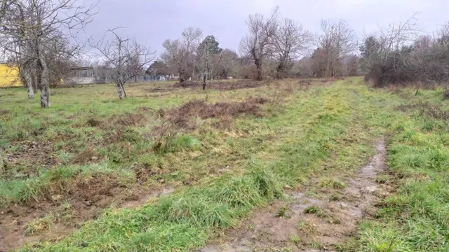 SE VENDE SOLAR EN CABAÑAS RARAS - foto 4