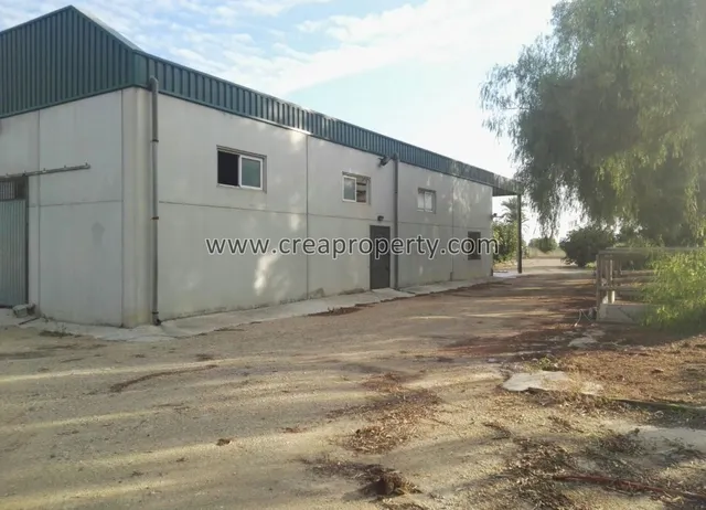 Excelente Finca con caballerizas en El Palmar (Murcia) — 32