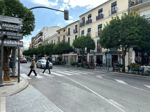 LOCAL COMERCIAL EN ALAMEDA DE ANDALUCIA ESTA DISPONIBLE¡¡¡¡ - foto 3