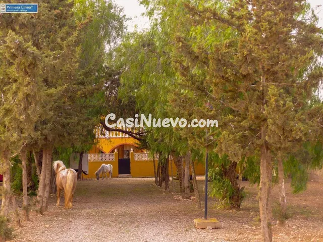 Venta de casa con 9 dormitorios y terreno de 11.000 m2 en el - foto 5