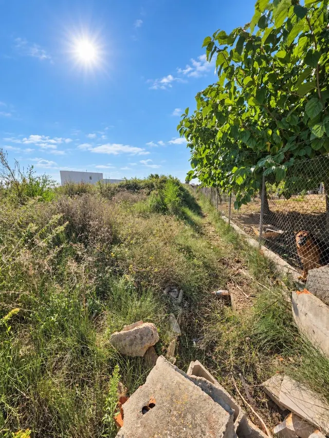 Finca rústica de 6.705 m2 en la zona de els ullals de baltasar, Amposta — 22