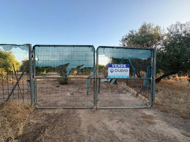 Parcela de Oportunidad con Nave y Olivos en Venta