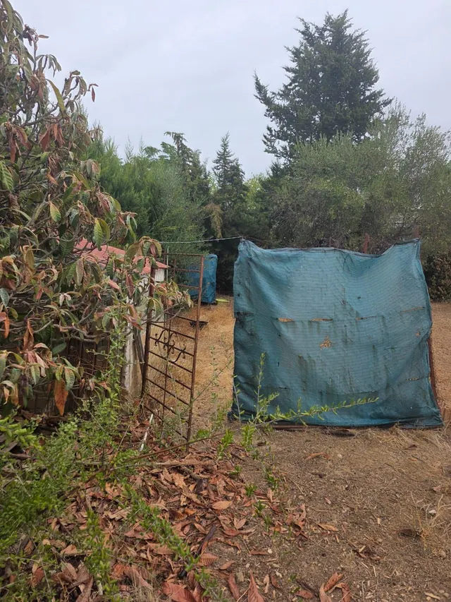 Parcela con casa en la zona de cuevas bajas — 12