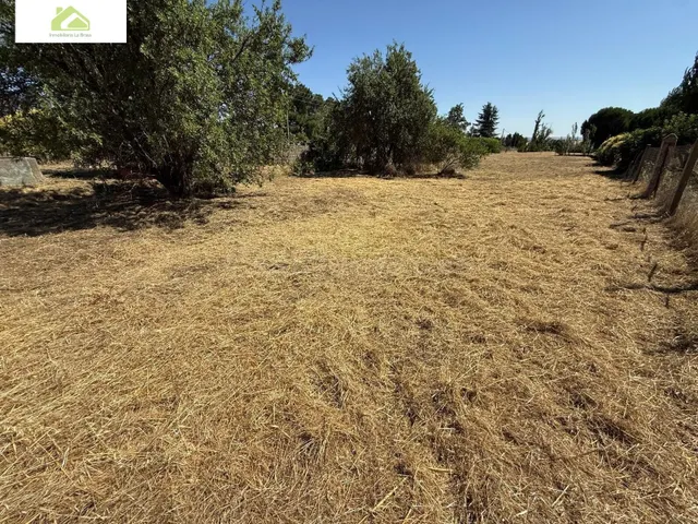 PARCELA RÚSTICA EN VENTA EN MORALES DEL VINO - foto 4