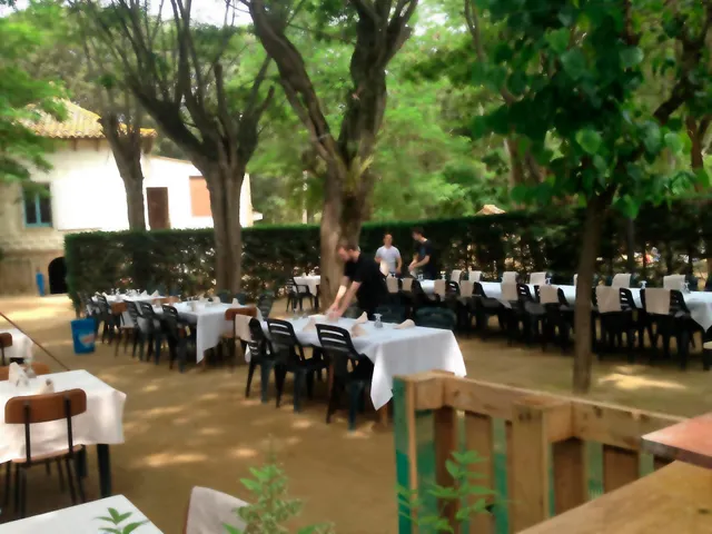 Finca rústica de 9 hectáreas en Arenys de Munt — 49