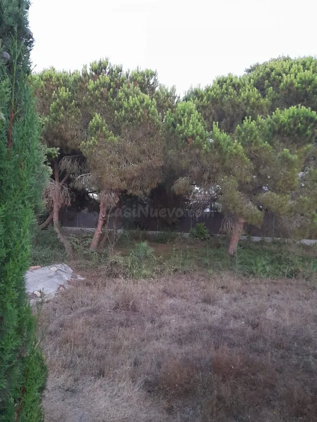 Terreno urbano en venta - Cabo Roig - foto 5