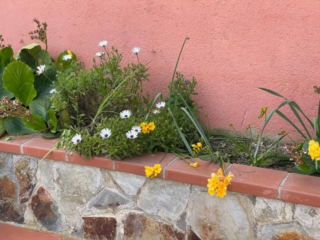 Casa a 4 vientos en venta — 7