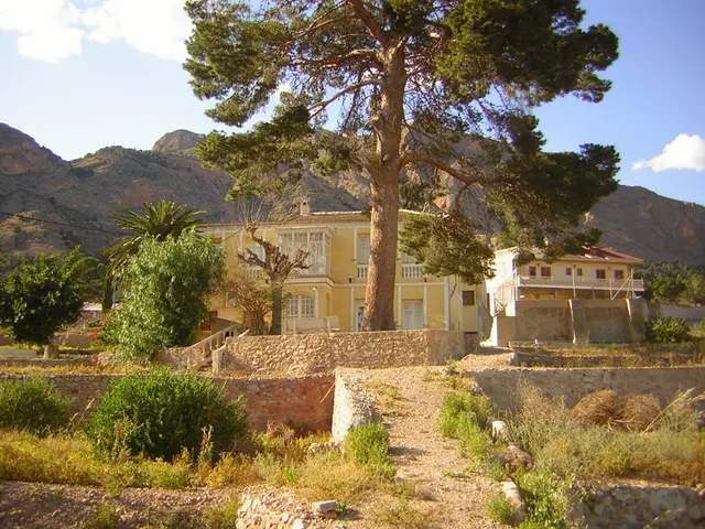 Finca de 12.441 m2 en Orihuela suelo urbano y rustico con preciosa casa y suministros — 7