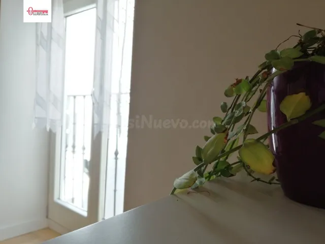 APARTAMENTO EN CASCO ANTIGUO - foto 4