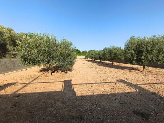 2 parcelas planas de un total de 888m2 en Urb LAlzineta (Mon