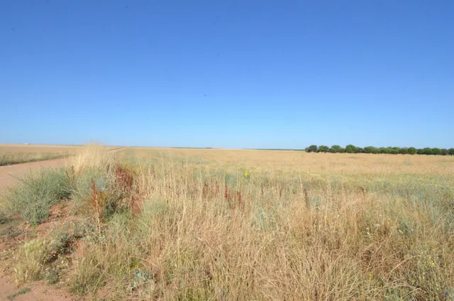 Urbis te ofrece un terreno en venta en Castellanos de Villiquera, Salamanca. — 4