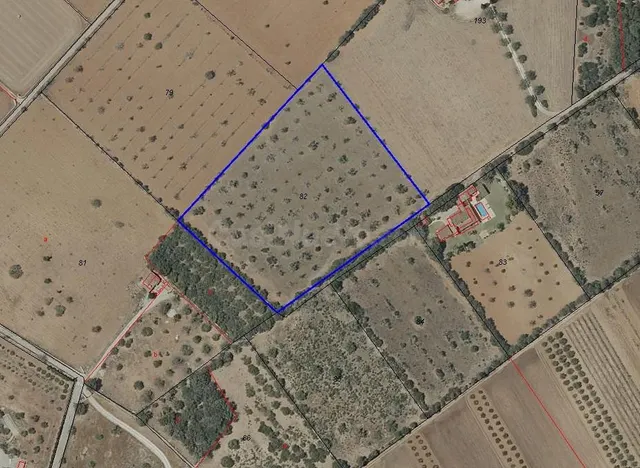 Oportunidad única en el corazón del sur de Mallorca – Finca  - foto 4