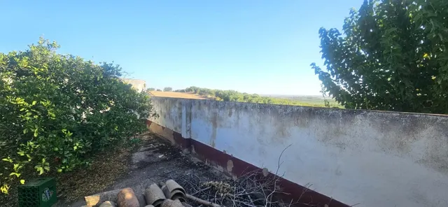 Villanueva del Río y Minas (Sevilla) | Casa con amplio patio - foto 4