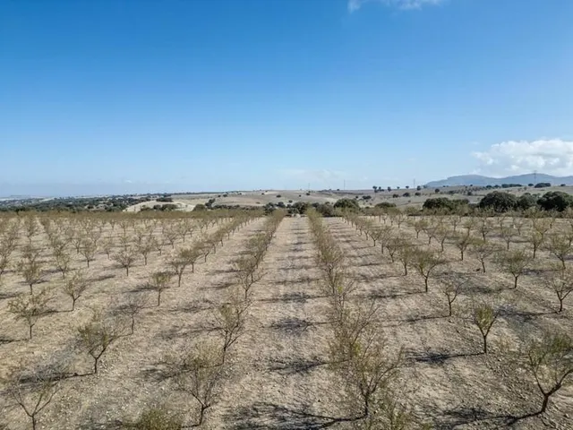 IMPRESIONANTE OPORTUNIDAD DE INVERSIÓN EN ALAMEDILLA!! — 13