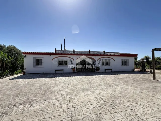FINCA DE RECREO Y CHALET — 3
