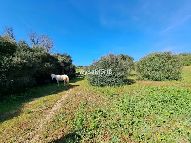 Parcela en venta - San Roque Pueblo - foto 4