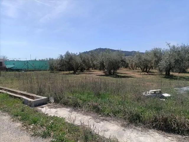 Finca Rústica — 6