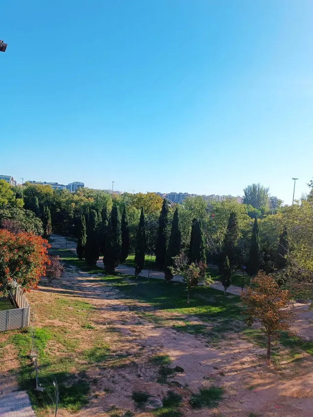 ZONA PARQUE BRUIL — 29