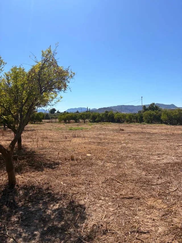 Se vende bonita parcela edificable en Zeneta (Alquerías) — 17