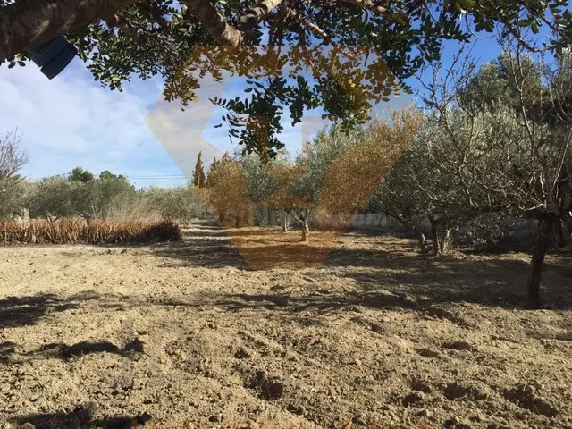SE VENDE PARCELA EN EL ROMERAL MOLINA DE SEGURA - foto 4