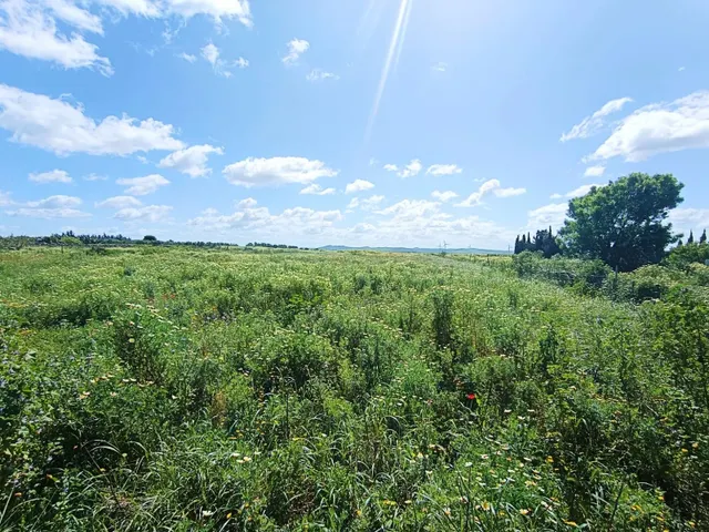 🌱ASOMBROSA PARCELA DE 3353 m2 EN EL MARQUESADO (MIRALAMAR)🌱 - foto 4
