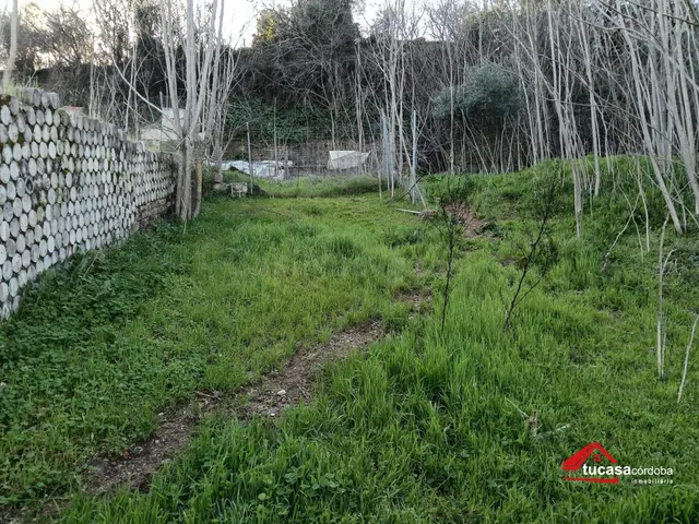 DESCUBRE LA JOYA DE LA PALOMERA