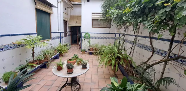 ESTUPENDA PLANTA BAJA EN EL PASEO , PARA ENTRAR A VIVIR - foto 4