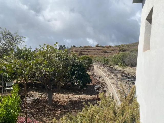 Gran oportunidad de negocio en Granadilla de Abona. - foto 4