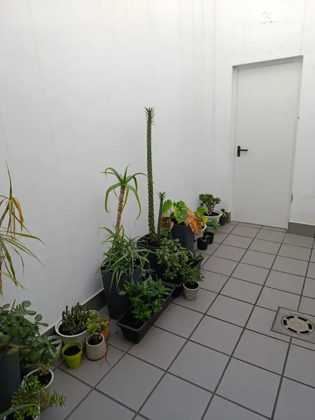 CASA EN VENTA EN ROCIANA — 18