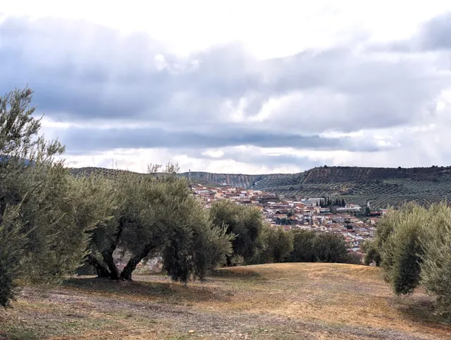 Terreno en Venta en Deifontes con proyecto de inversión - foto 3